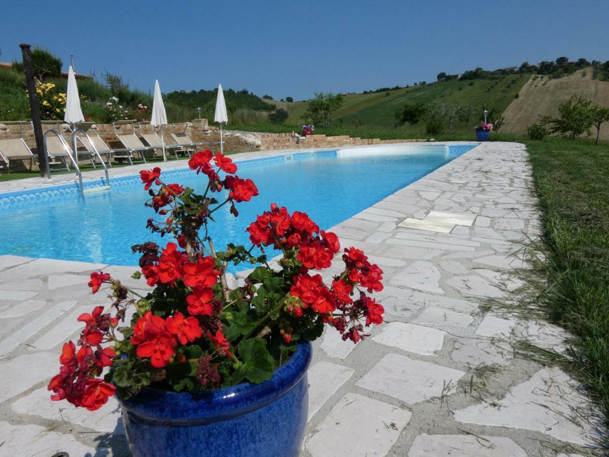 Il Frutteto Bed And Breakfast Ripattone Exterior foto